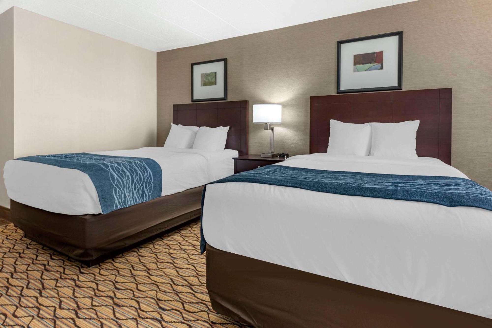 Comfort Inn&Suites Glen Mills - Concordville Eksteriør bilde