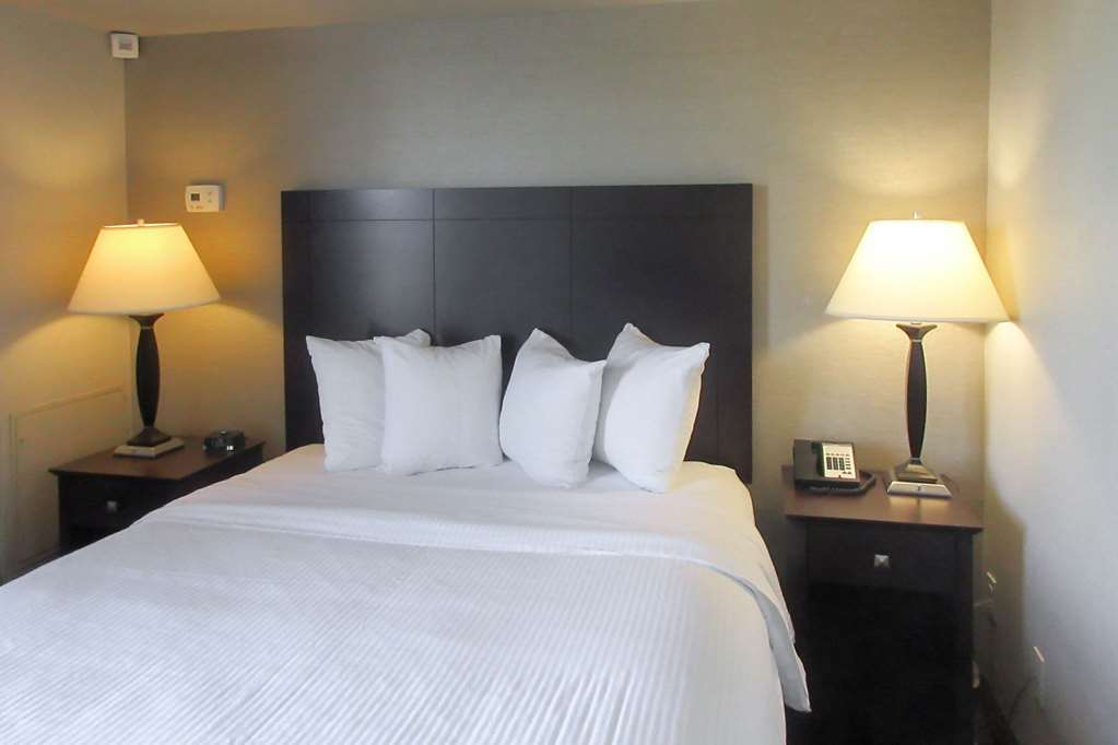 Comfort Inn&Suites Glen Mills - Concordville Rom bilde
